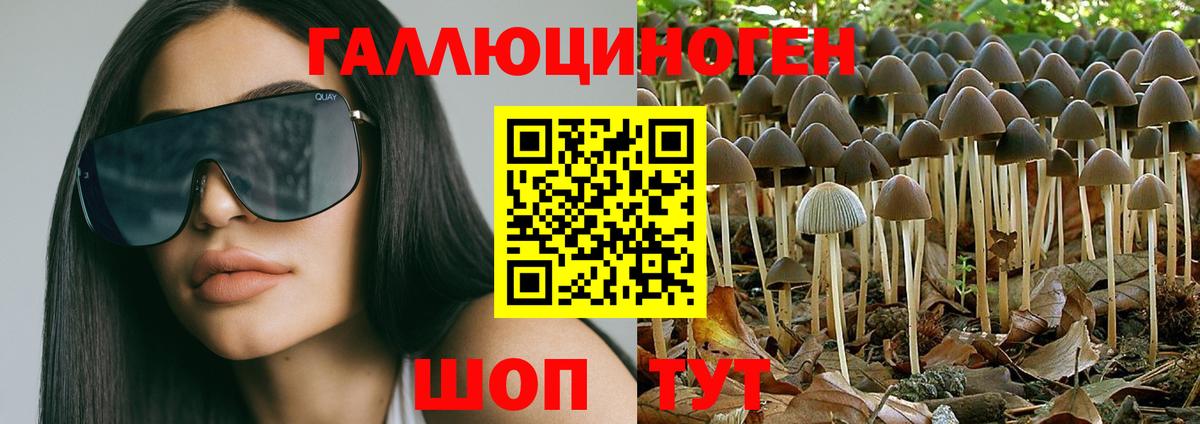 Шумерля  Псилоцибиновые грибы Magic Shrooms  Псилоцибиновые грибы прущие грибы  Вход с VPN 